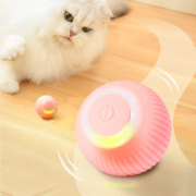 Jouet chat