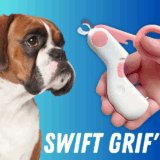 Swift Grif