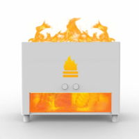 Humidificateur Diffuseur Burn