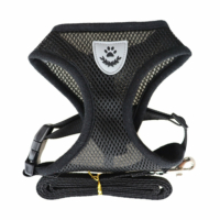 Harnais pour chats et petits chiens