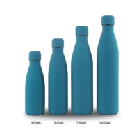 Bouteille isotherme inox multicolor design