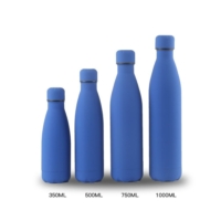 Bouteille isotherme inox multicolor design