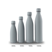 Bouteille isotherme inox multicolor design
