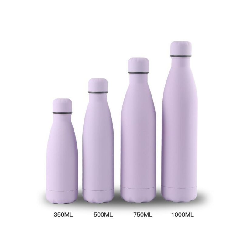Bouteille isotherme inox multicolor design
