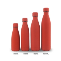 Bouteille isotherme inox multicolor design